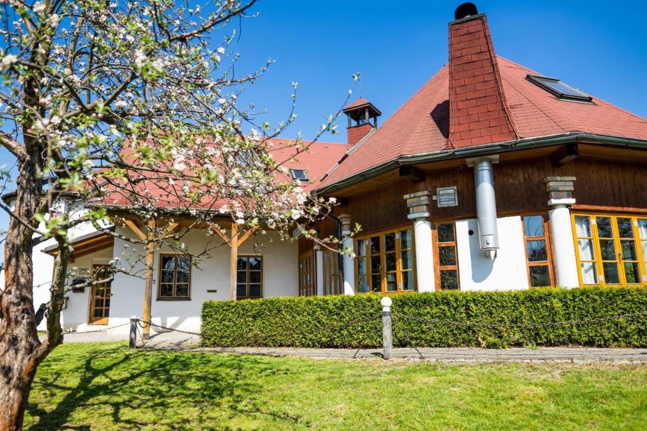 Velké Losiny Penzion Terasa, Bed & Breakfast מראה חיצוני תמונה